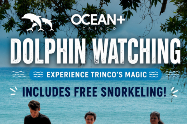 Ocean Plus Dive Center Nilaveli
