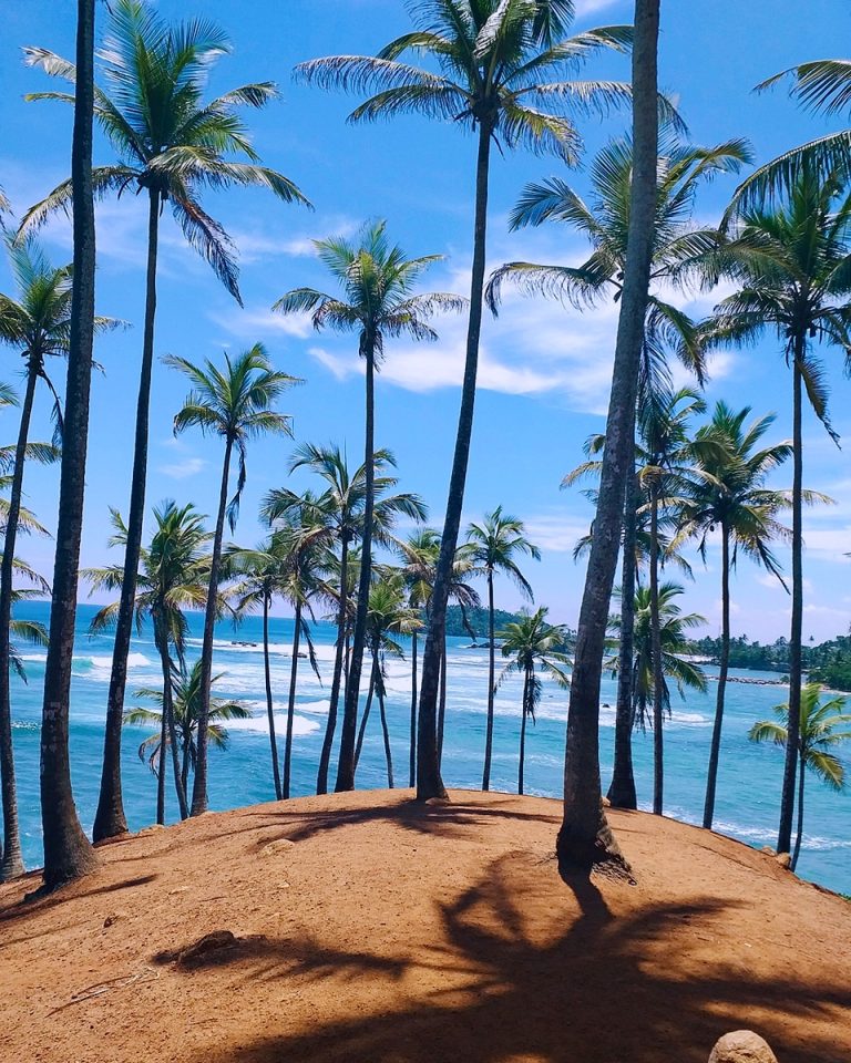 Mirissa, Sri Lanka: Serene Beaches, Whales & Coastal Magic Await